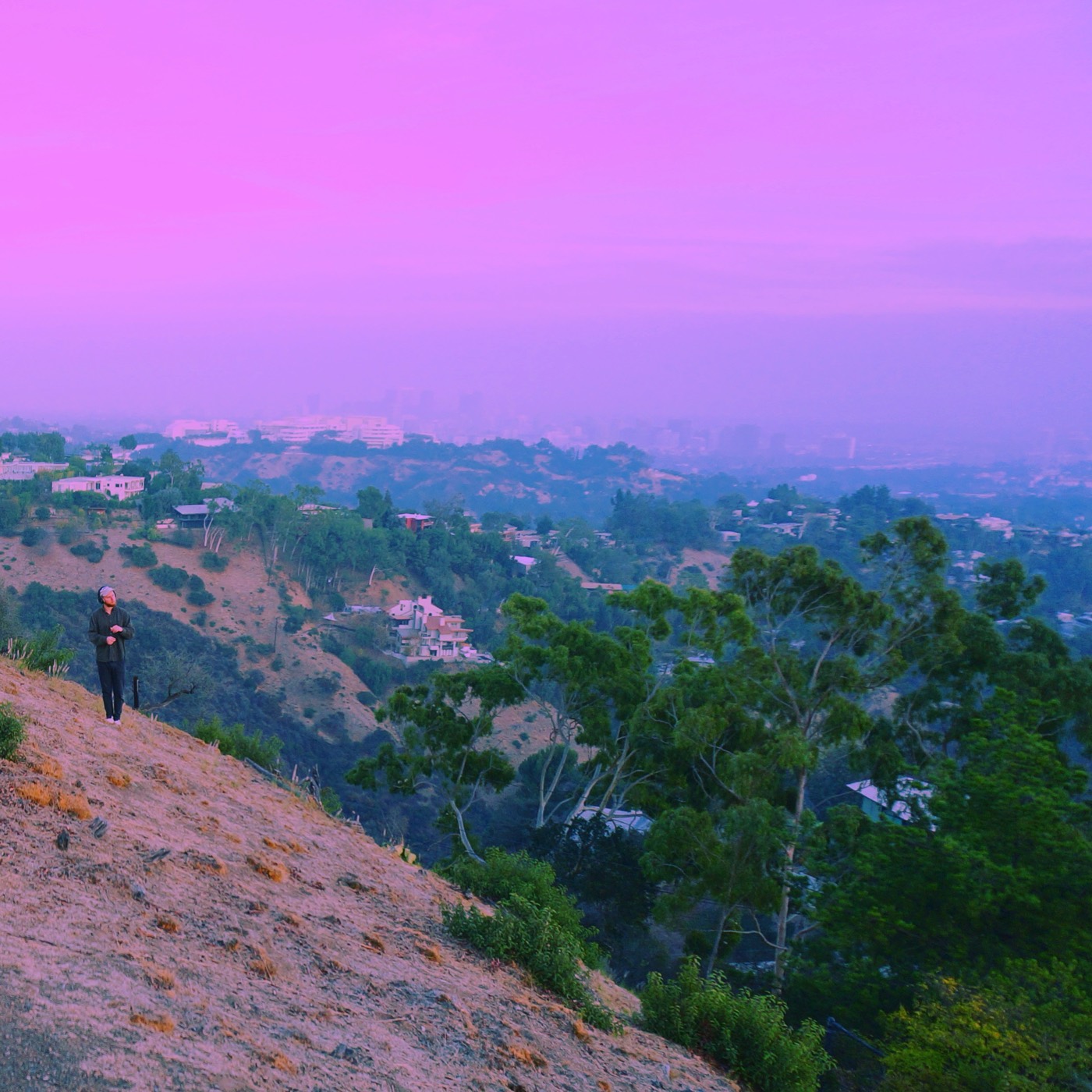Alex standing on a hillside above Los Angeles under a pink and purple sky